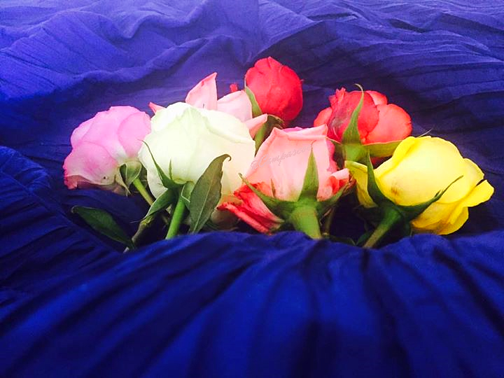 The most Famous flowers in the world