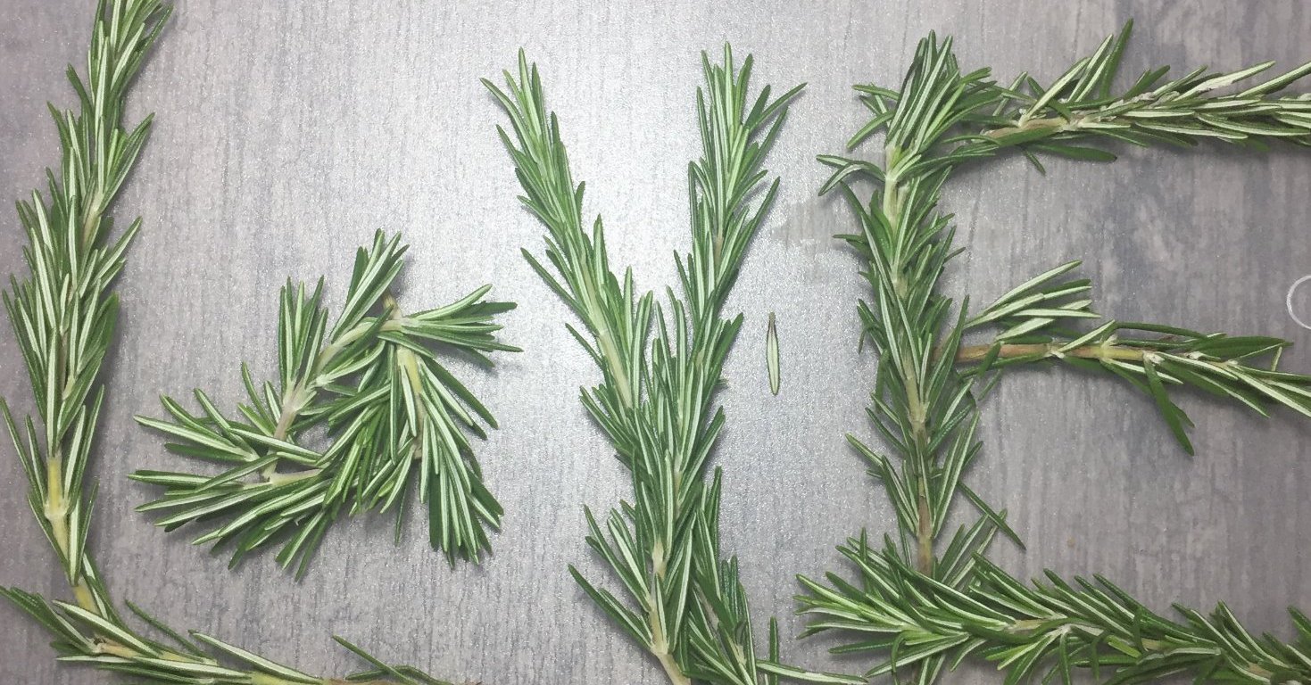 Rosemary display