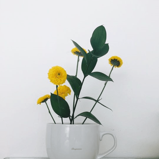 Coffee Cup Arrangements