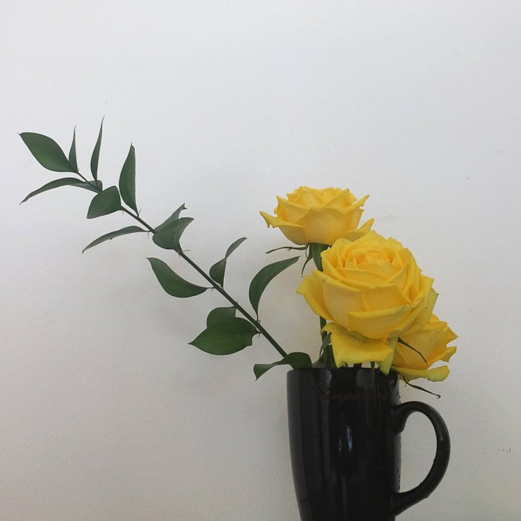 Coffee Cup Arrangements