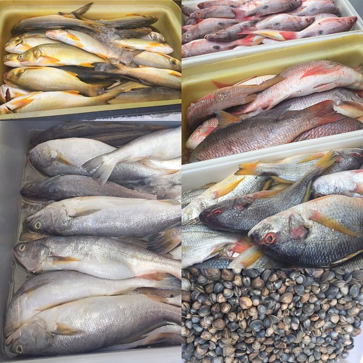 Fish MArket in Panama City