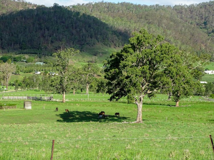 View of farm life in the Gold Coast Hinterland