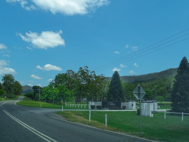 View of Cunungra Valley Vineyards from the road