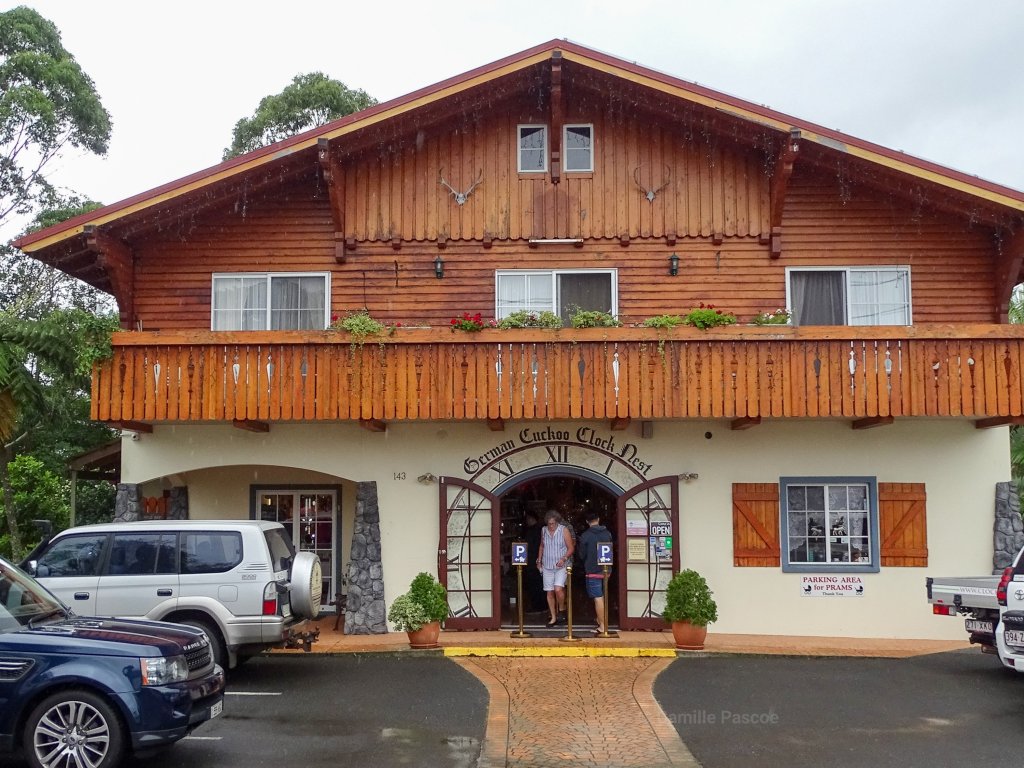The German Cuckoo Clock Nest At The Famous Gallery Walk In The Gold Coast Hinterland