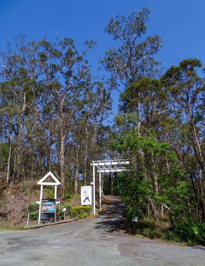 Hilltop Gallery Mount Tamborine
