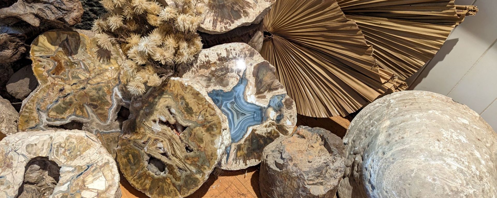a display of Thunder Eggs at Thunderbird Park in Tamborine Mountain, Australia