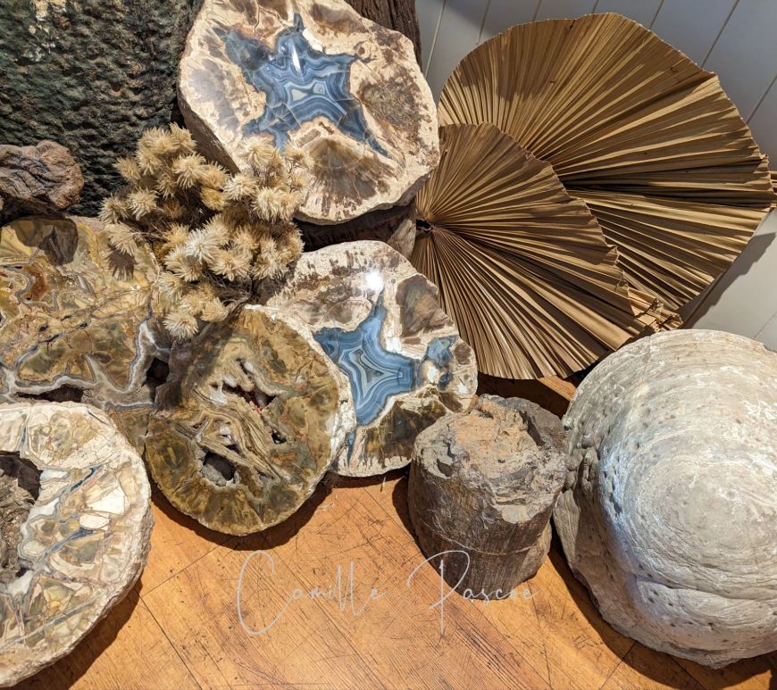 a display of Thunder Eggs at Thunderbird Park in Tamborine Mountain, Australia