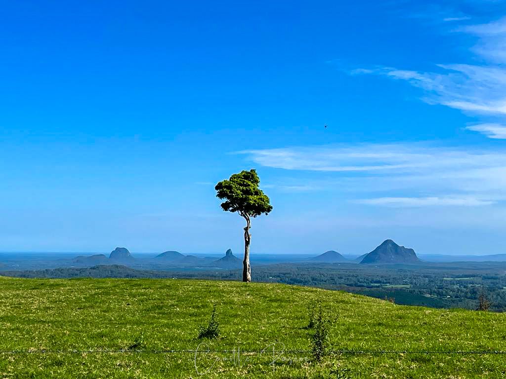Stunning views of the Glass House Mountains from Mat Cairncross, Sunshine Coast Hinterland Queensland Australia