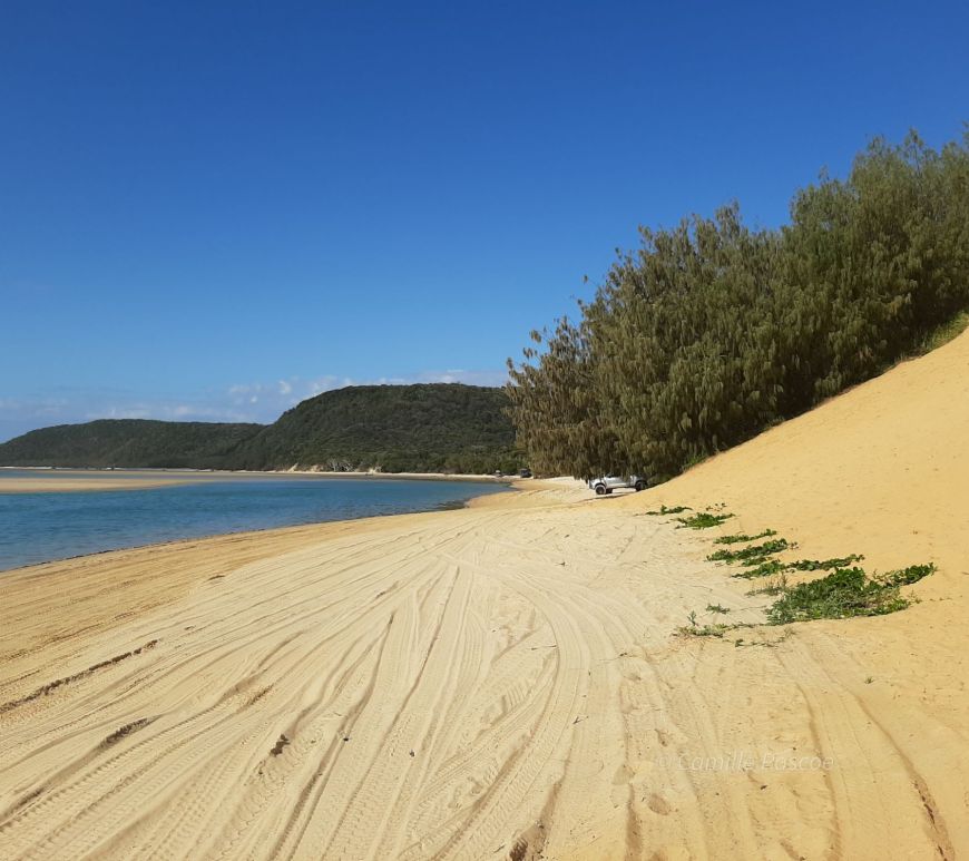 A scenic view of the beach at Double Island Point, Queensland, showcasing the clear turquoise waters, sandy shoreline, and lush mountain backdrop, captured from a 4WD vehicle driving up the beach
