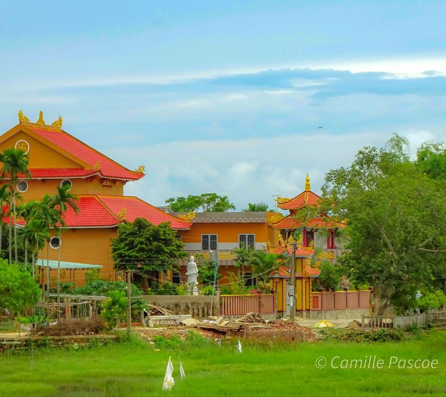 The Cultural Significance and Beauty Of Yellow